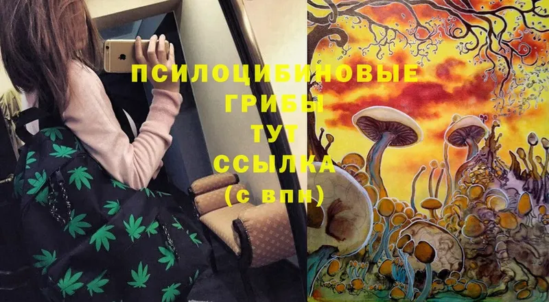 МЕГА рабочий сайт  Валуйки  Галлюциногенные грибы Cubensis 